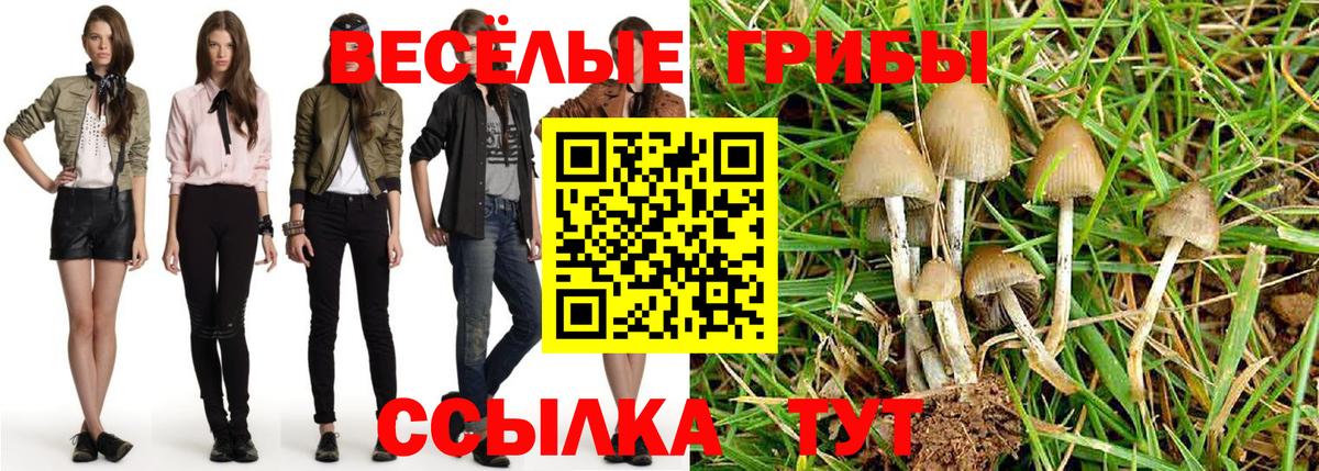 Псилоцибиновые грибы Psilocybine cubensis Балашиха