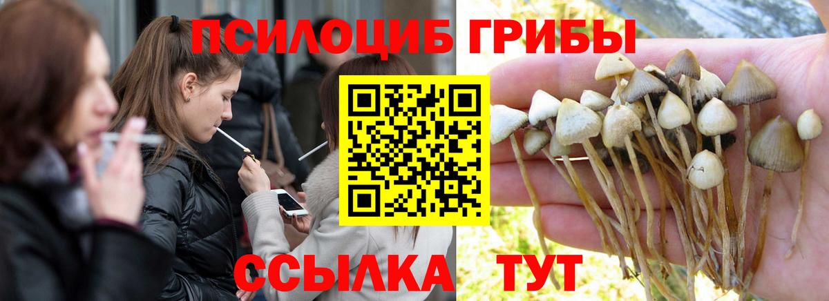 Галлюциногенные грибы ЛСД  Вход с VPN  Галлюциногенные грибы Psilocybine cubensis  Балашиха 
